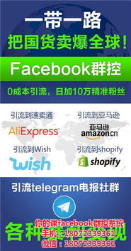深度解析 Facebook群控軟件的應用價值與山東軟件開發實力