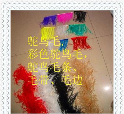 鴕鳥羽毛 從原毛進(jìn)口到舞臺閃耀的時尚與藝術(shù)輔料